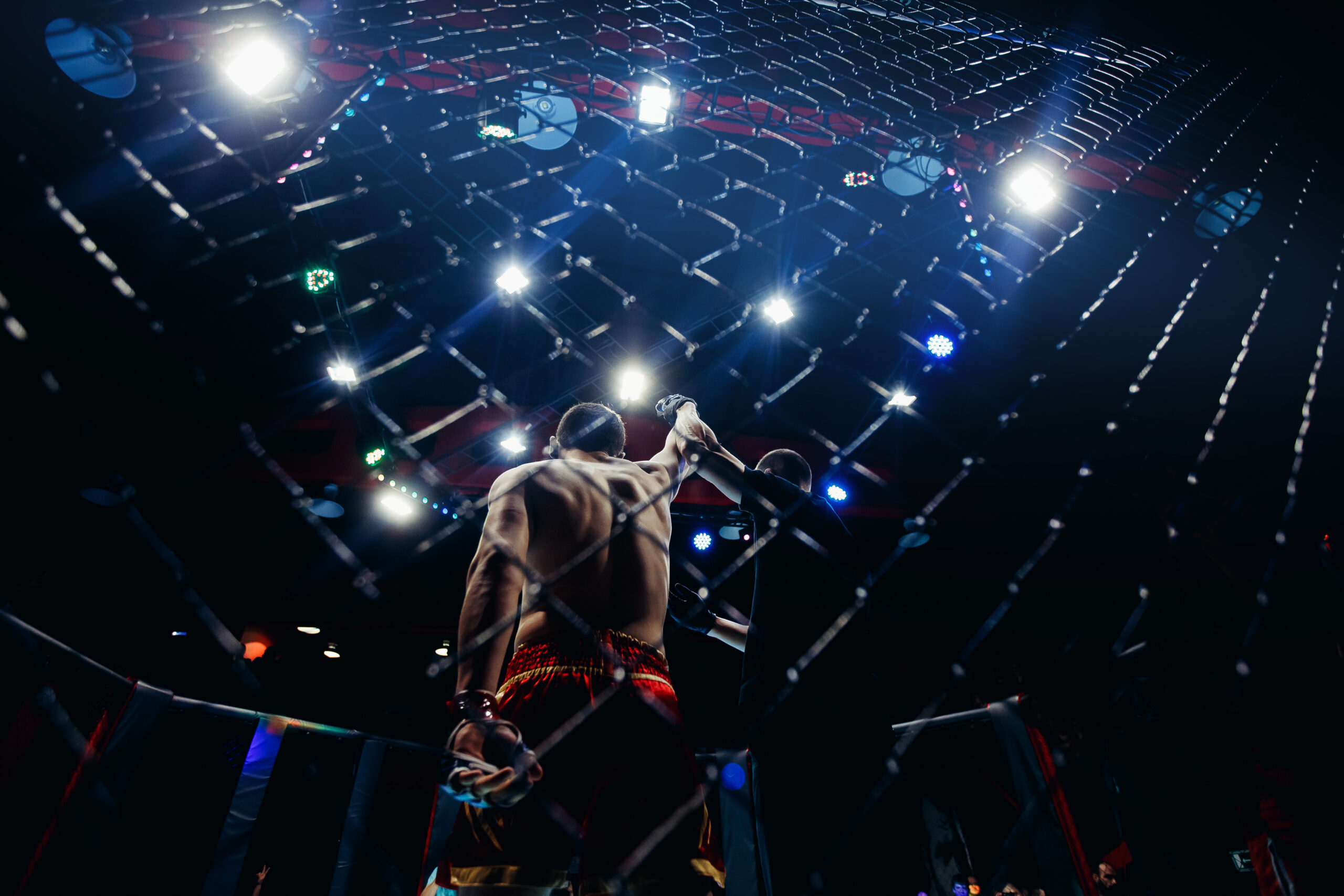MMA rise above the status quo